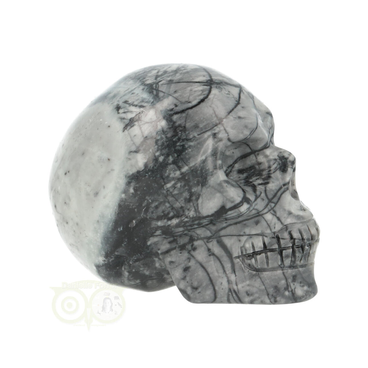 Picasso Jasper Skull No. 17