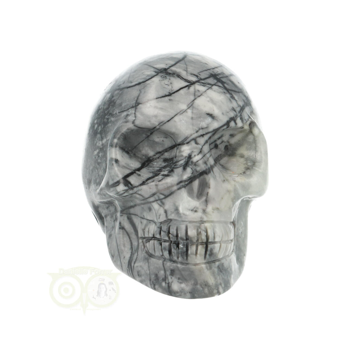 Picasso Jasper Skull No. 17