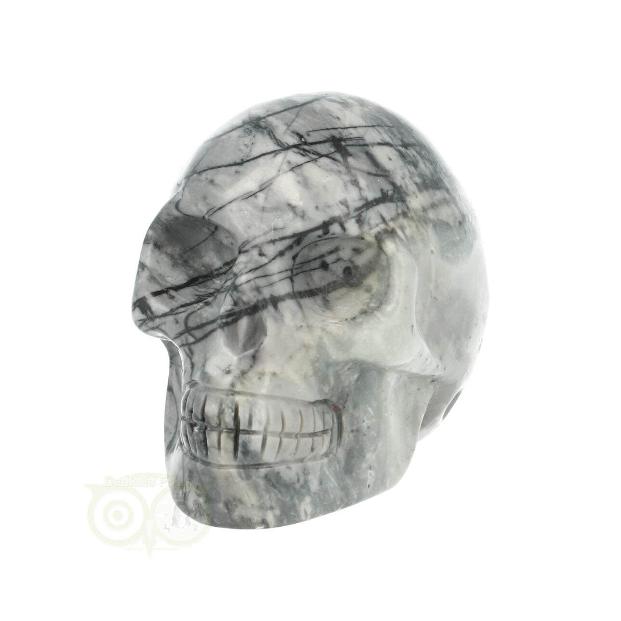 Picasso Jasper Skull No. 17