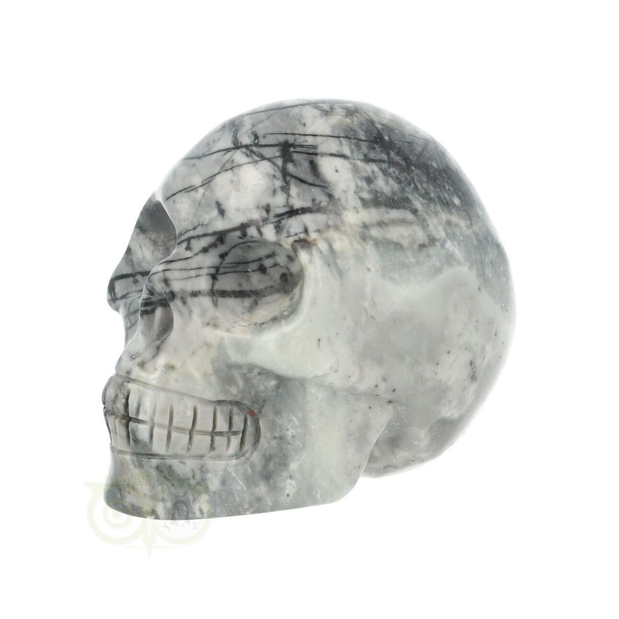Picasso Jasper Skull No. 17