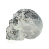Picasso Jasper Skull No. 17