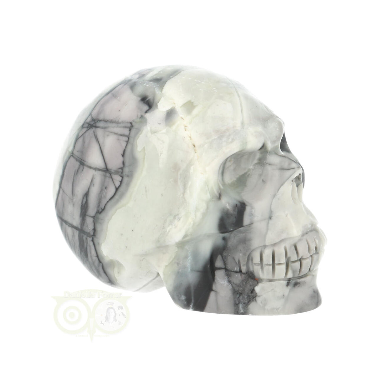 Picasso Jaspis schedel Nr 9