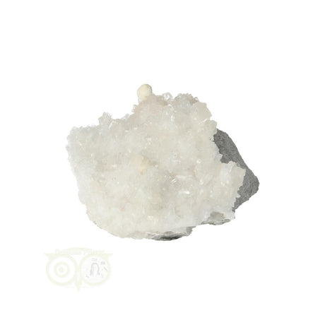 Prehniet Ruw Nr 23