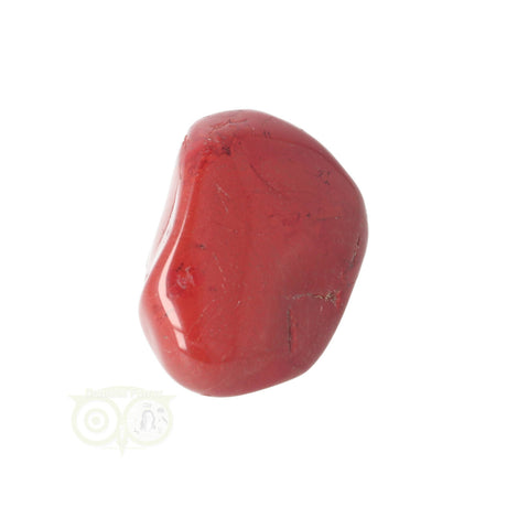 Rode Jaspis trommelsteen Nr  44