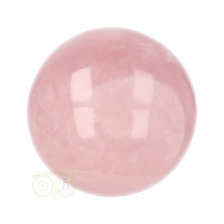 Rozenkwarts bol nr. 24 Ø 8,10 cm zacht roze – onderaanzicht – Webshop Danielle Forrer