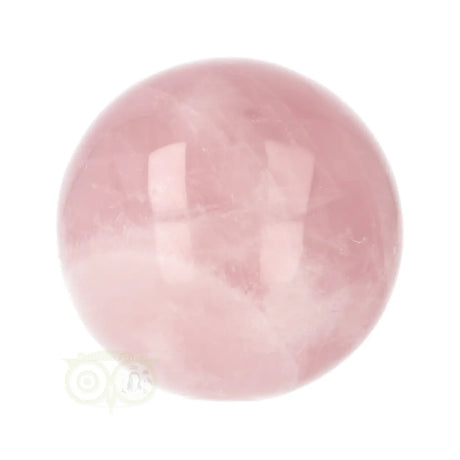 Rozenkwarts bol nr. 24 8,10 cm zacht roze B-Grade – detailopname – Webshop Danielle Forrer