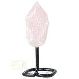 Rozenkwarts Punt op standaard Nr 7