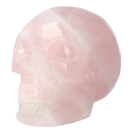 Rose Quartz Skull 1578 grams