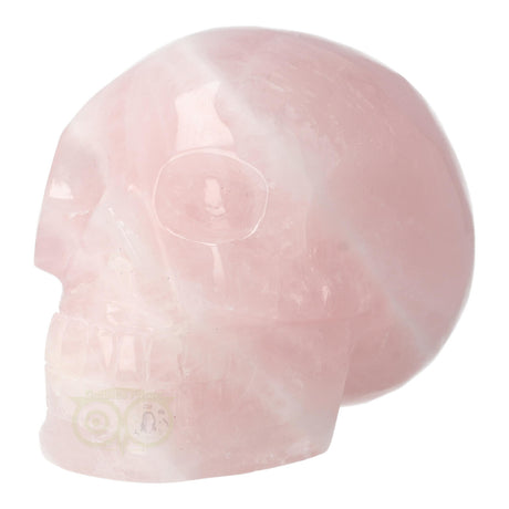 Rose Quartz Skull 1578 grams