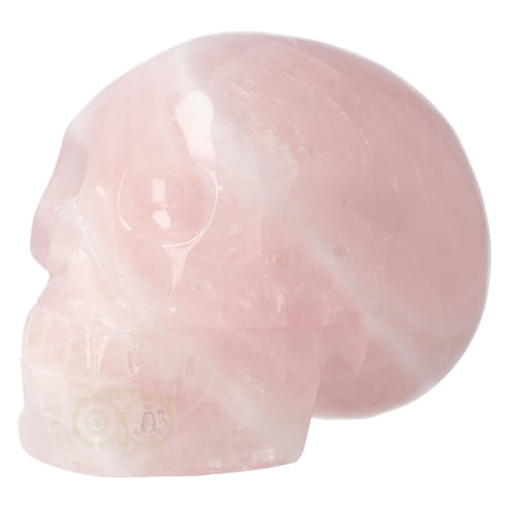 Rose Quartz Skull 1578 grams
