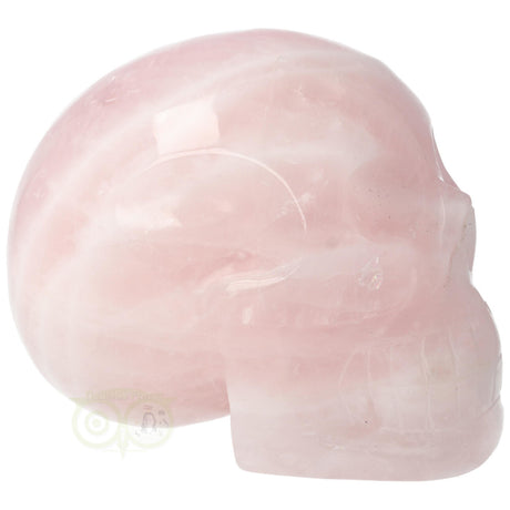 Rose Quartz Skull 1578 grams
