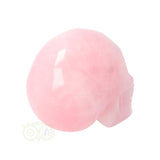 Rozenkwarts schedel Nr 10