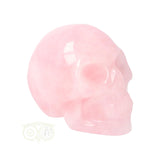Rozenkwarts schedel Nr 10