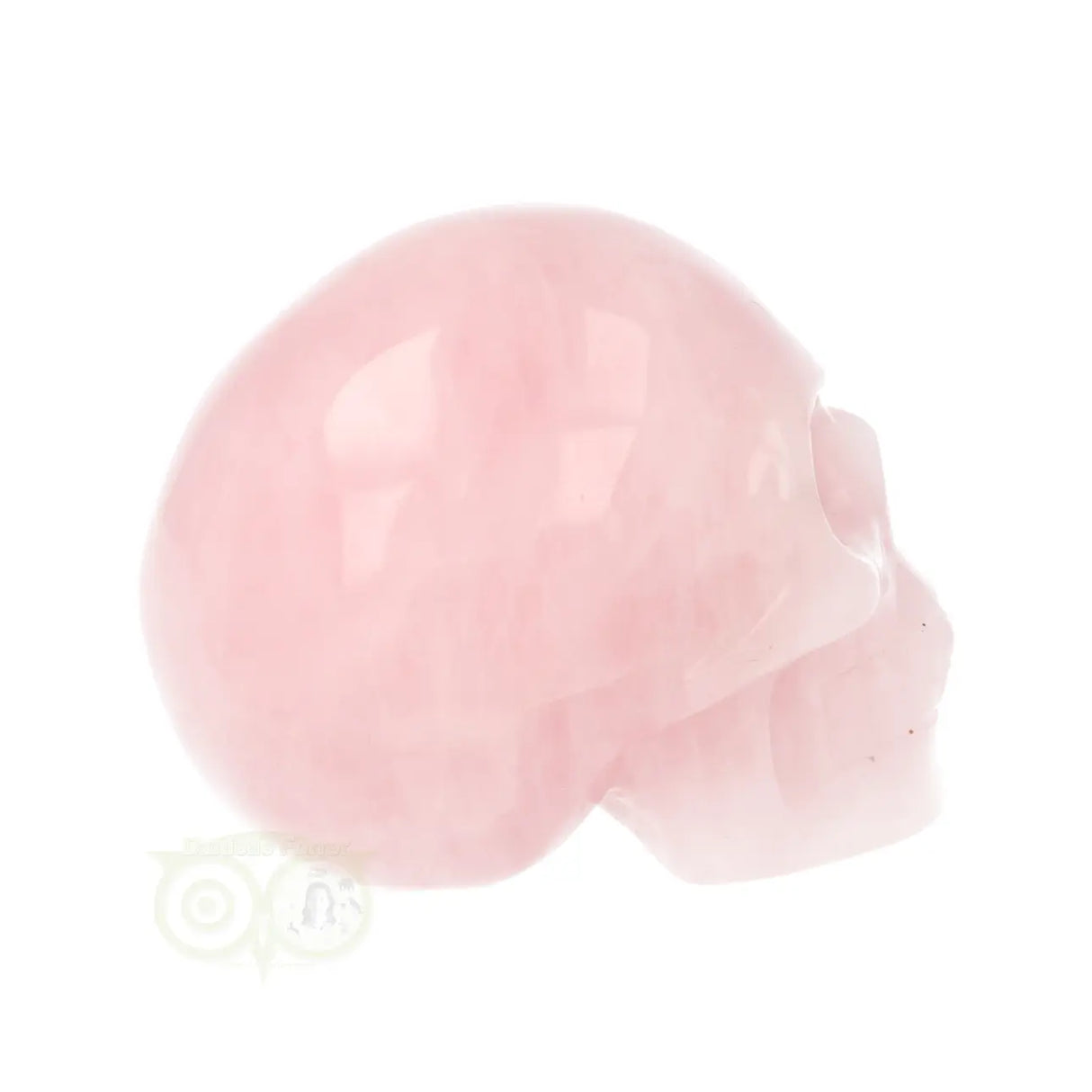 Rozenkwarts schedel Nr 28