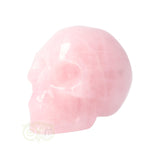 Rozenkwarts schedel Nr 9