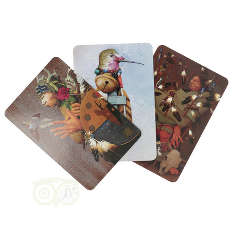 sacred vision oracle kaarten sjamanistische wijsheid