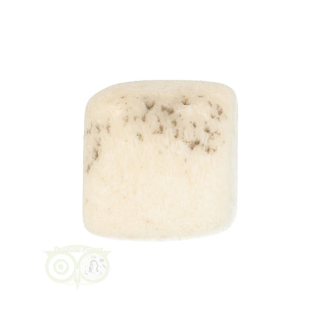 Scolesit-Trommelstein Nr. 19