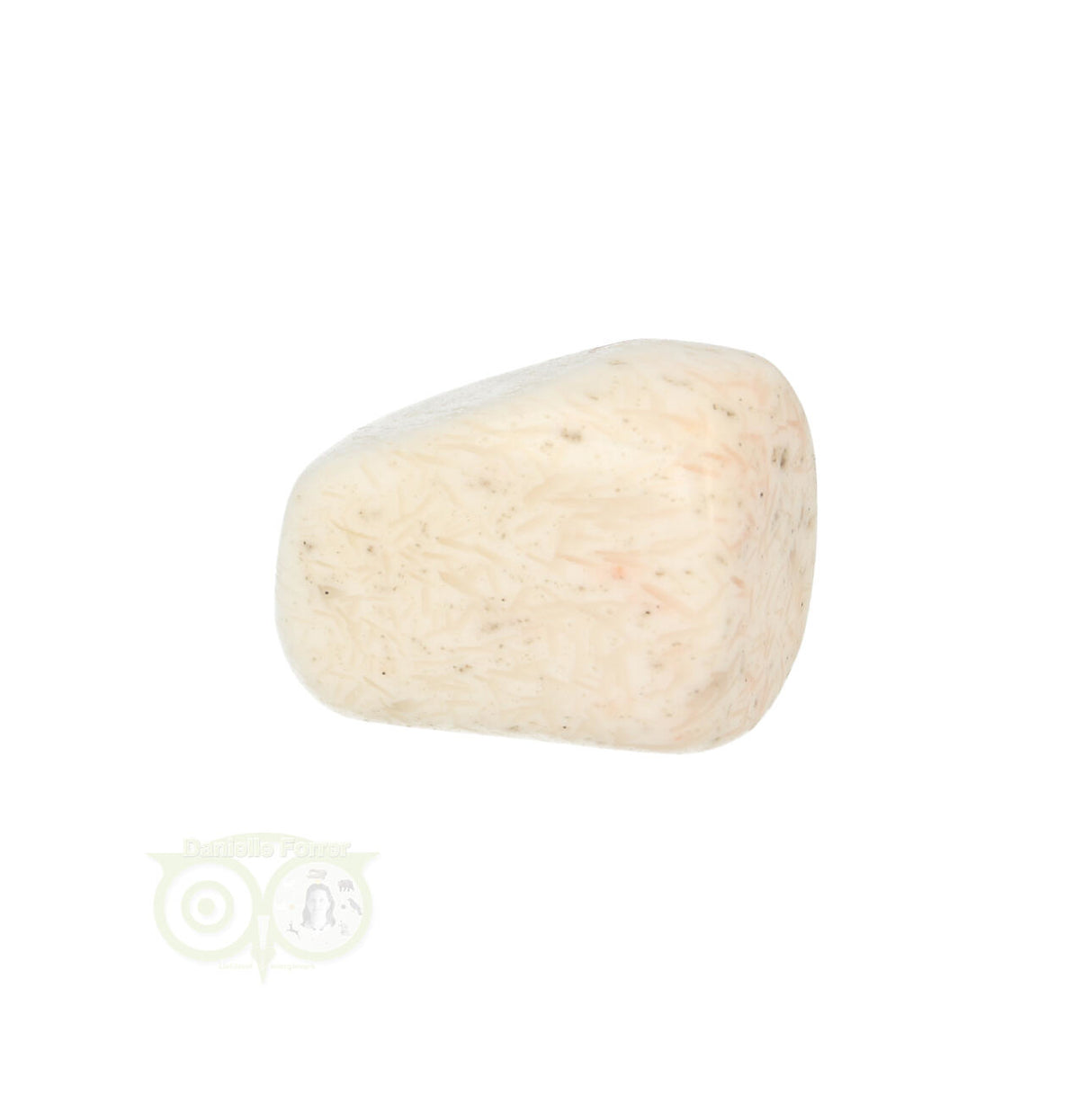 Scolesiet Knuffelsteen Nr 22