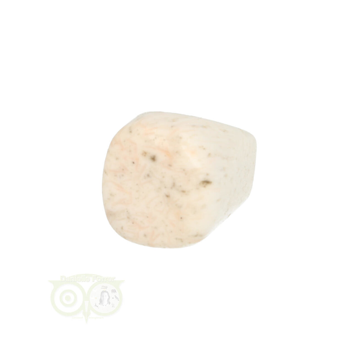 Scolesiet Knuffelsteen Nr 22