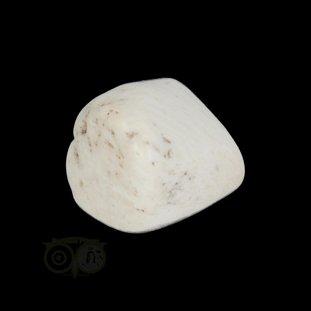 Scolesiet Knuffelsteen Nr 24