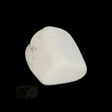 Scolesiet Knuffelsteen Nr 24