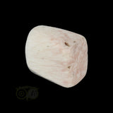 Scolesiet Knuffelsteen Nr 26