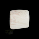 Scolesiet Knuffelsteen Nr 26