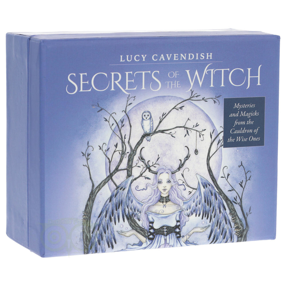 Secrets of the Witch - Lucy Cavendish