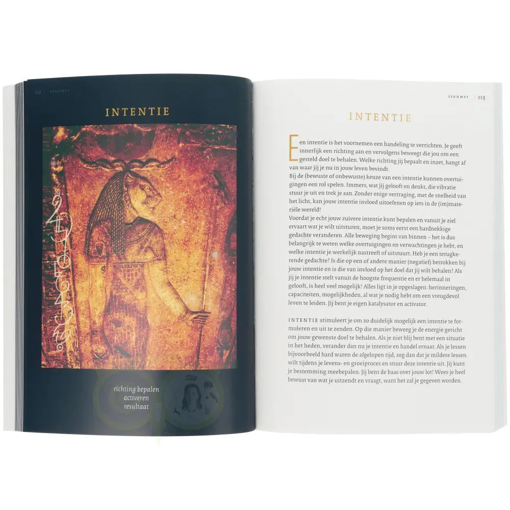 Sekhmet - feline kracht voor inzichten - Petra Stam