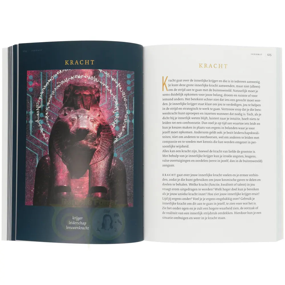 Sekhmet - feline kracht voor inzichten - Petra Stam