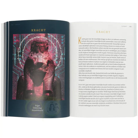Sekhmet - feline kracht voor inzichten - Petra Stam - binnenkant voorbeeld paperback – Webshop Danielle Forrer