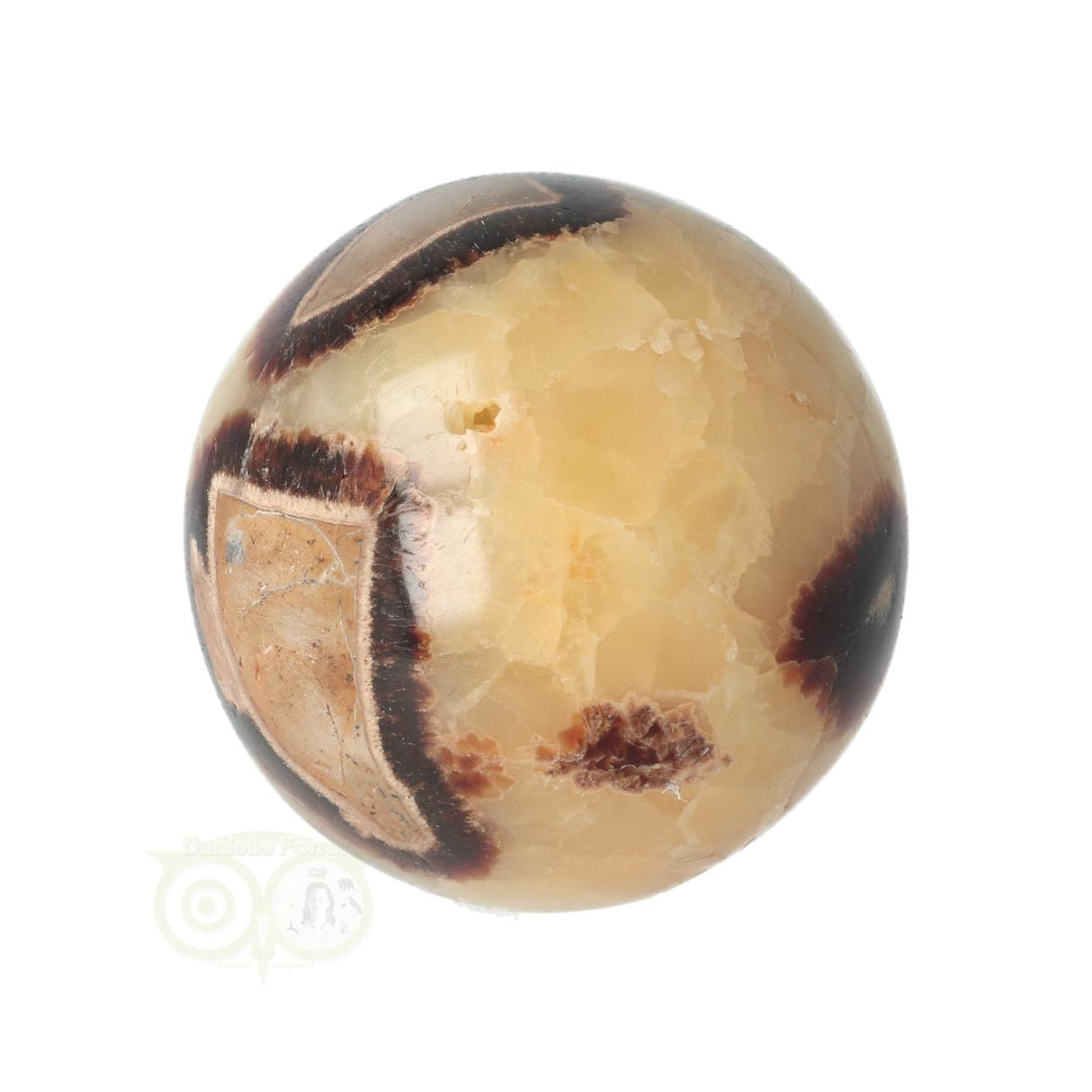 Septarie Kugel Nr. 23 - Ø 5,46 cm