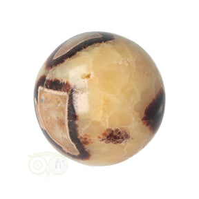 Septarie bol 231 gram nr. 23 Ø 5,46 cm – goudbruin met donkere aragonietaders – Madagaskar – Webshop Danielle Forrer