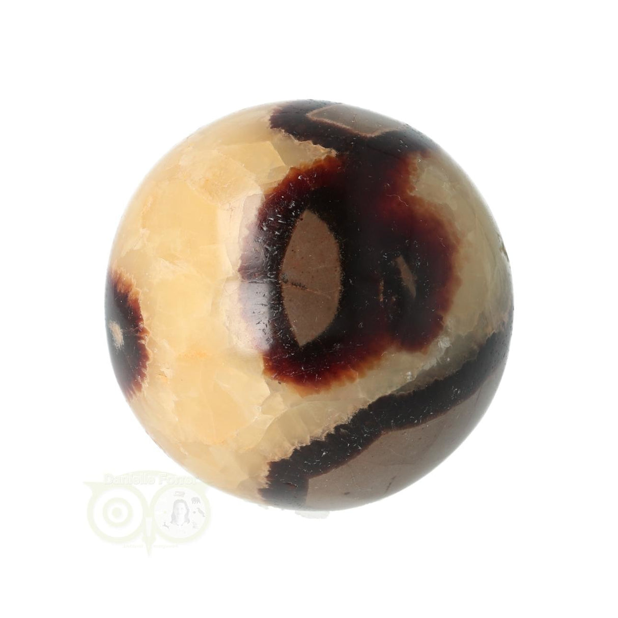 Septarie Kugel Nr. 23 - Ø 5,46 cm