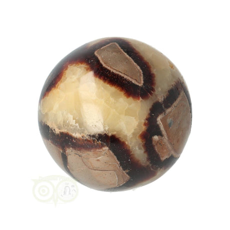 Septarie bol nr. 23 – lichte zijde – fijn aderpatroon detail – Madagaskar – Webshop Danielle Forrer