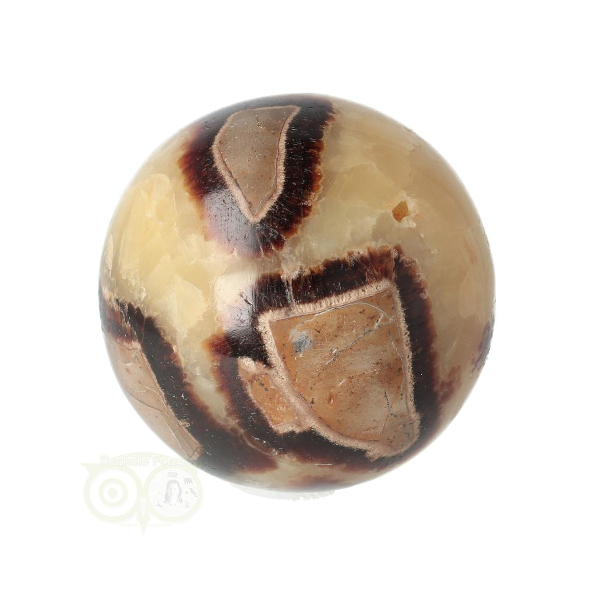 Septarie Kugel Nr. 23 - Ø 5,46 cm