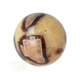 Septarie Kugel Nr. 23 - Ø 5,46 cm