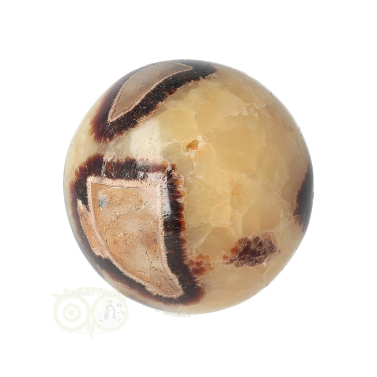 Septarie Kugel Nr. 23 - Ø 5,46 cm