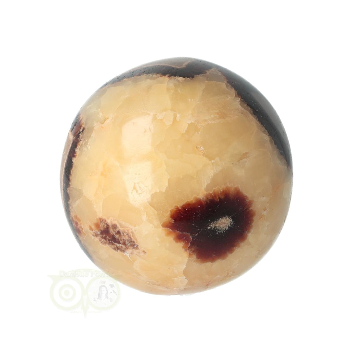 Septarie Kugel Nr. 23 - Ø 5,46 cm