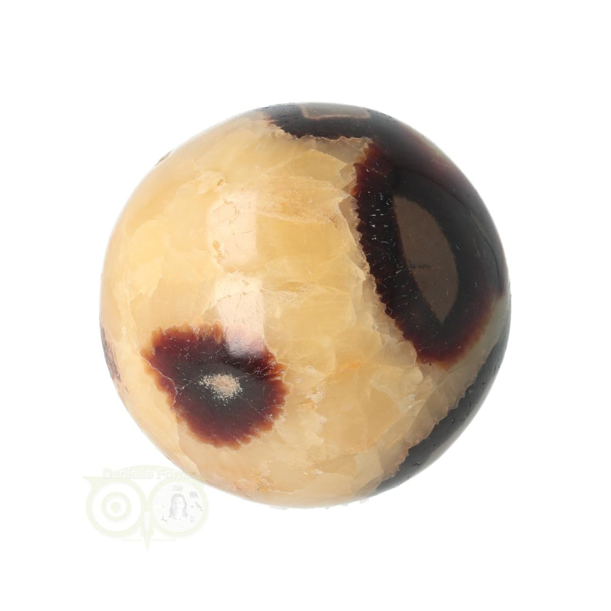 Septarie Kugel Nr. 23 - Ø 5,46 cm
