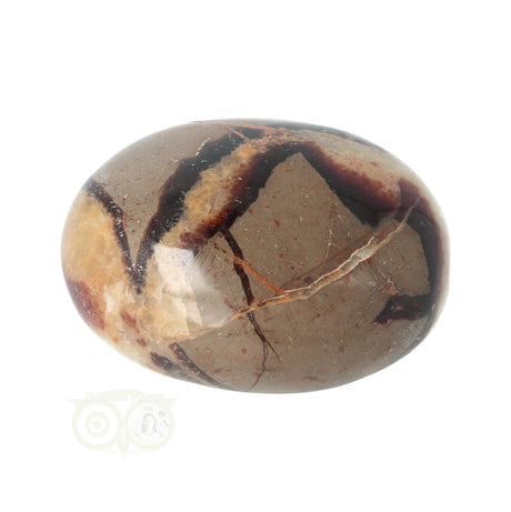 Septarie handsteen 94 gram – gepolijste edelsteen met structuur en contrast