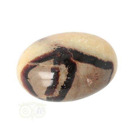 Septarian palm stone no. 14 - 89 grams - Madagascar | Gemstone
