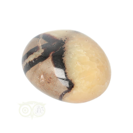 Septarian palm stone no. 14 - 89 grams - Madagascar | Gemstone