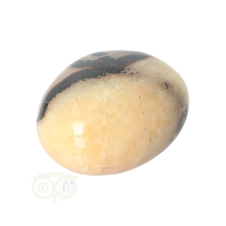 Septarian palm stone no. 14 - 89 grams - Madagascar | Gemstone