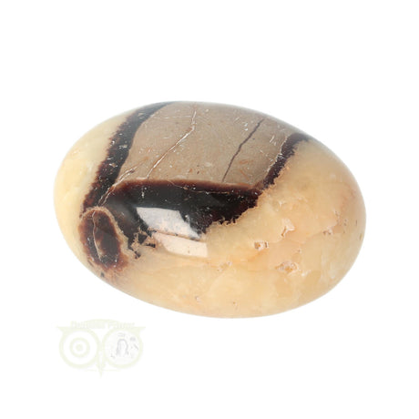 Septarian palm stone no. 14 - 89 grams - Madagascar | Gemstone