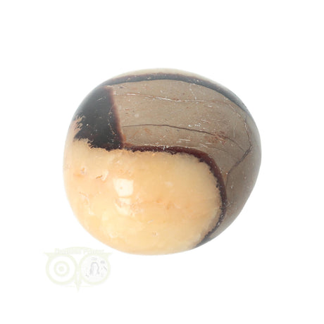 Septarian palm stone no. 14 - 89 grams - Madagascar | Gemstone