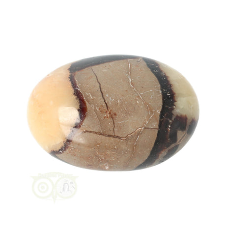 Septarian palm stone no. 14 - 89 grams - Madagascar | Gemstone