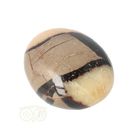 Septarian palm stone no. 14 - 89 grams - Madagascar | Gemstone