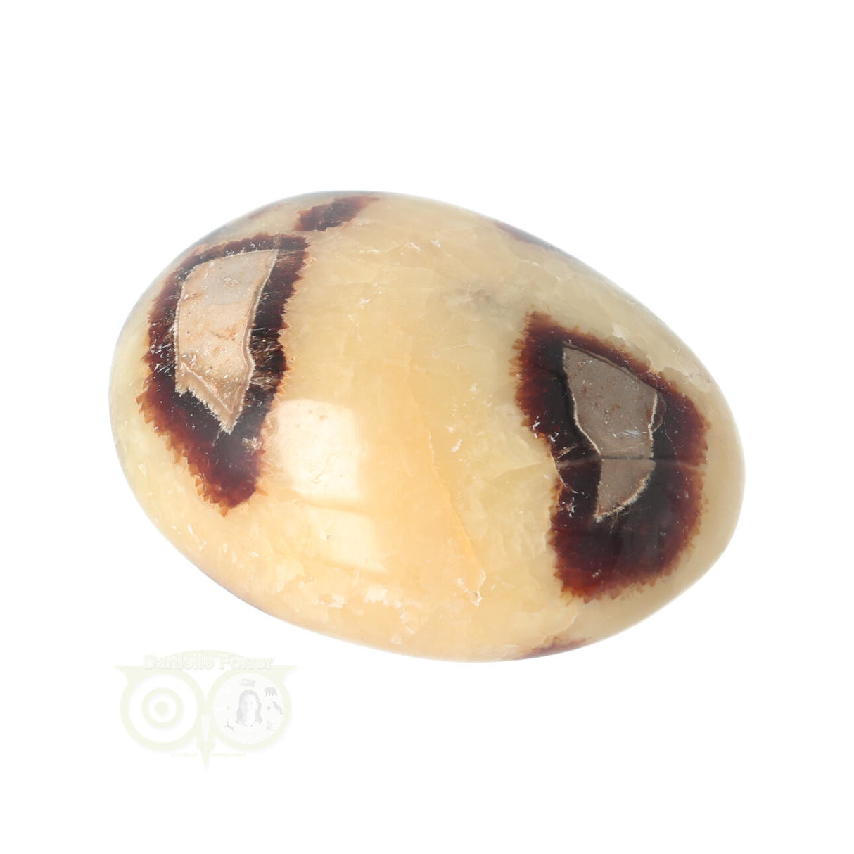 Septarie handsteen Groot nr 15