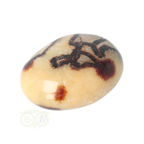 Septarien Handschmeichler Nr. 15 - 95 Gramm - Madagaskar | Edelstein